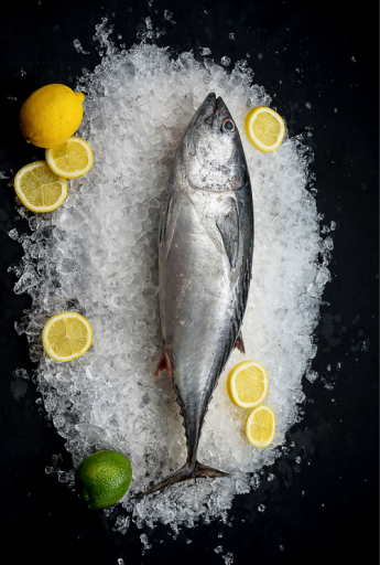 fish